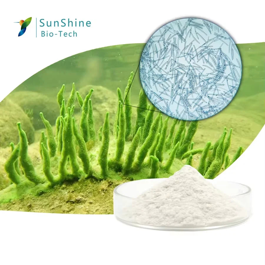 🌿 HEAIQI – Kit Peeling aux Herbes Naturelles | Soin Professionnel de Régénération Cutanée