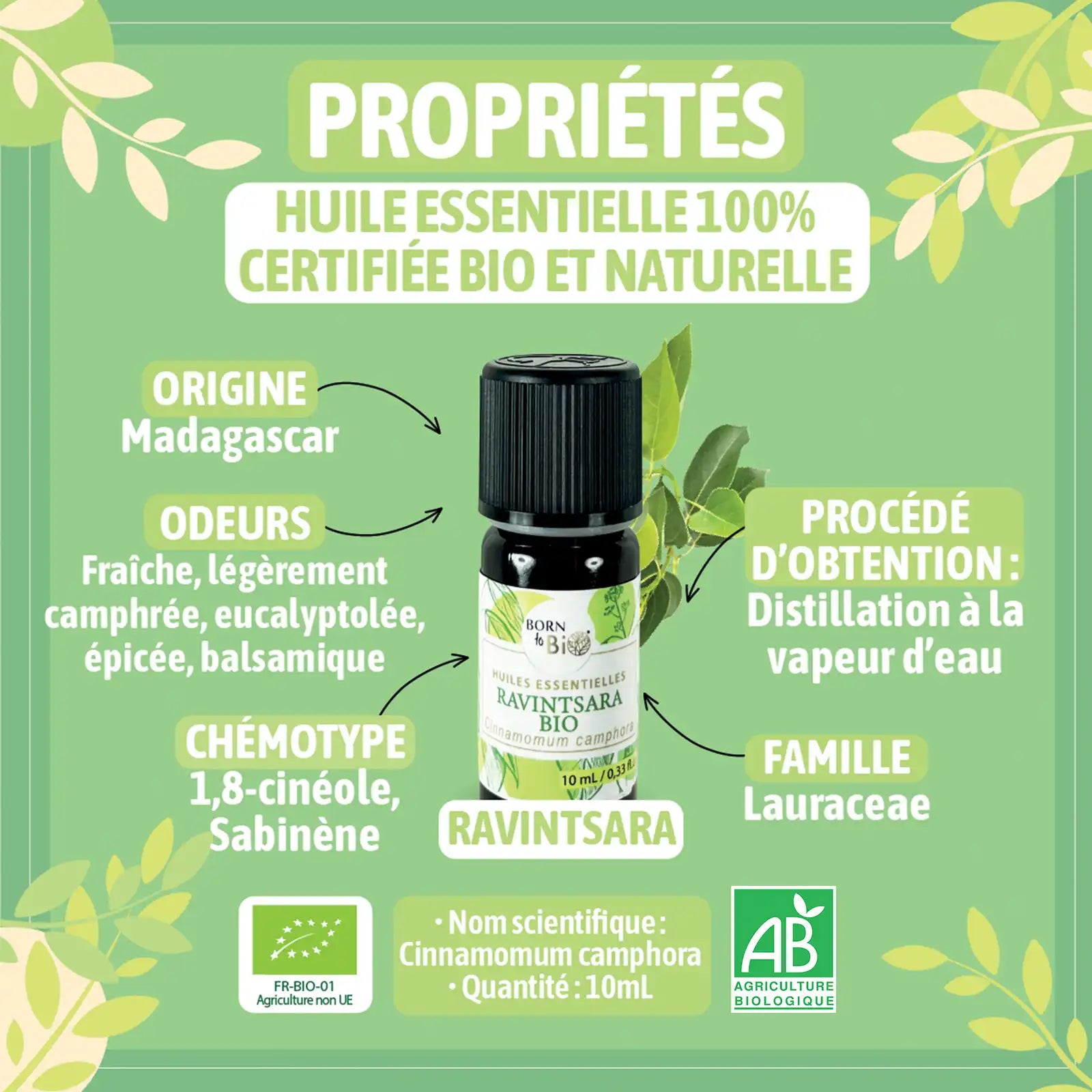 Huile essentielle Ravintsara Certifiée Bio